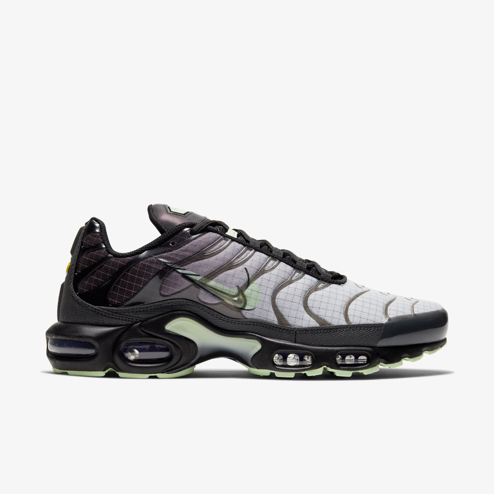 Nike Air Max Plus TN Future Swoosh CT1619 001 Grailify